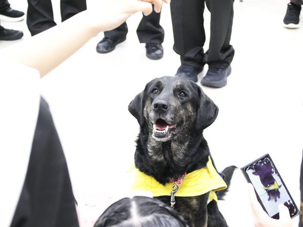 介助犬セミナー♪